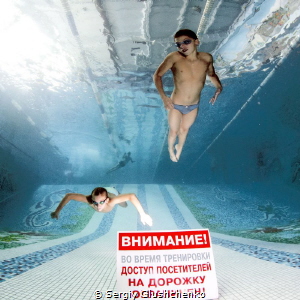 Swimmers by Sergiy Glushchenko 
